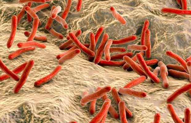 Bacterias que causan la lepra pueden tener facultades curativas