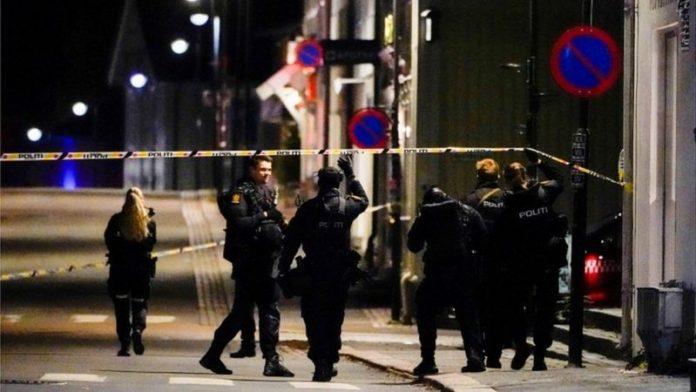 Cinco muertos en Noruega por ataque con arco y flechas