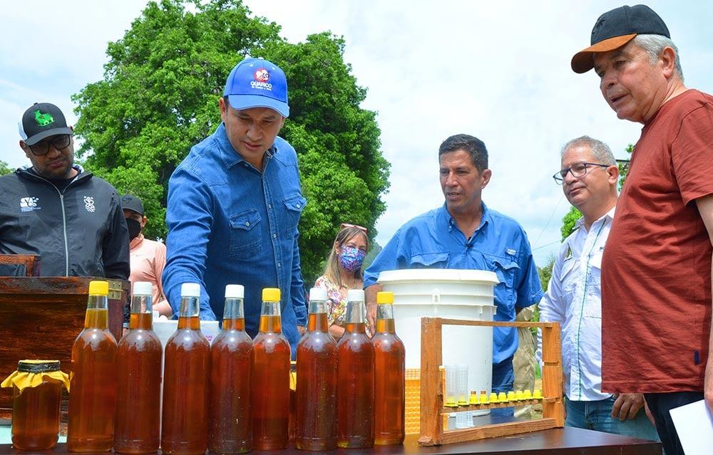 Se prevé expandir e impulsar cultivo de apicultura en el estado Guárico